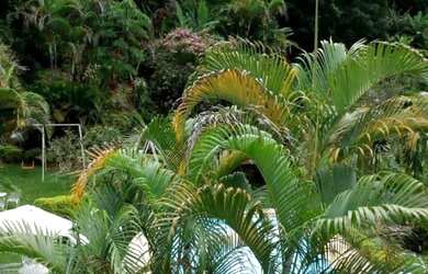 Imagem: Casa em Itaipava Locacao 5 Quartos e 4 vagas