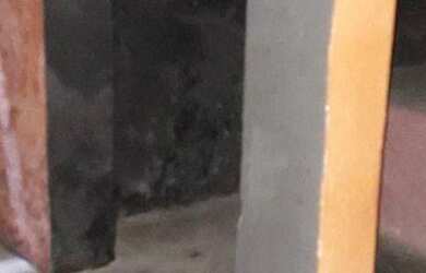 Imagem 12: Terreno, 400 m² - venda por R$ 1.800.000,00 ou aluguel por R$ 4.523,04/mês...