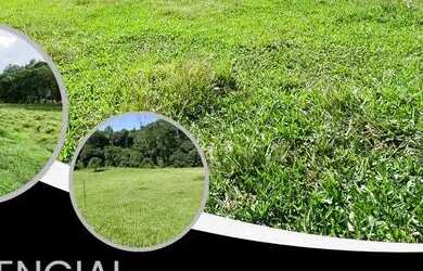 Imagem: O terreno à venda possui e está localizado em Nazaré Paulista