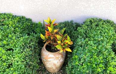 Imagem 7: Espetacular Casa 5Suítes em Vila Esperia Ou Giglio - Atibaia