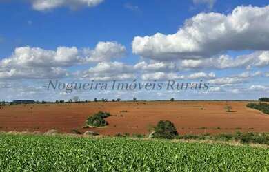 Imagem 12: Fazenda com 40 alqueires, região de Avaré - SP (Nogueira Imóveis Rurais