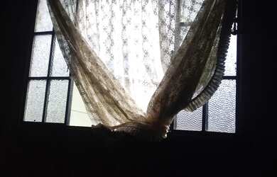 Imagem: A casa possui 2 Dormitórios, 1 Banheiro, 1 Vaga na garagem