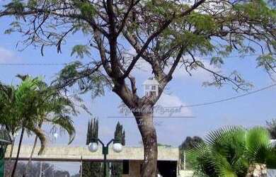 Imagem 16: Sobrado com 4 suítes à venda, 306 m² por R$ 1.195.000 - Condomínio...