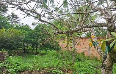 Imagem 7: Casa térrea para venda com 3 quartos na Praça Kennedy - Alagoinhas -...