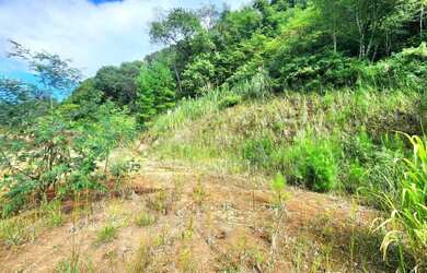 Imagem 8: Terreno para Venda em Nova Petrópolis, Linha Imperial