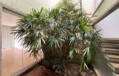 Imagem 11: JO646A - Excelente casa com 3 quartos (reversível para 4) com 244 m² em São Francisco - Ni