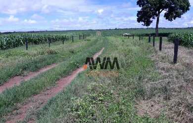Imagem 15: Fazenda à venda, 501 alqueires por R$ 90.180.000 - Centro - Porangatu/GO