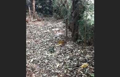 Imagem 14: Terreno à venda, 4146 m² por R$ 954.000,00 - Jardim das Flores - Foz do Iguaçu/PR