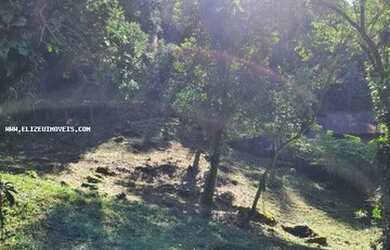 Imagem: O terreno possui 708m² de Área, Churrasqueira, Piscina e