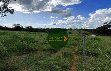 Imagem 12: Fazenda à venda, 1419088 m² por R$ 7.330.000,00 - Zona Rural - Fazenda...