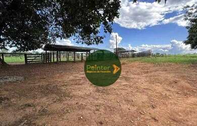 Imagem 9: Fazenda à venda, 1419088 m² por R$ 7.330.000,00 - Zona Rural - Fazenda...