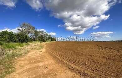 Imagem 2: Fazenda com 40 alqueires, região de Avaré - SP (Nogueira Imóveis Rurais