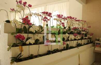 Imagem: A casa possui 3 Dormitórios, 4 Banheiros, 5 Vagas na garagem