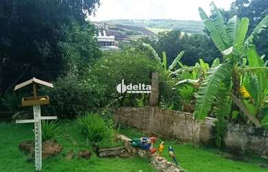 Imagem 2: Rancho com 4 suítes disponível para venda na Área Rural de Uberlândia-MG