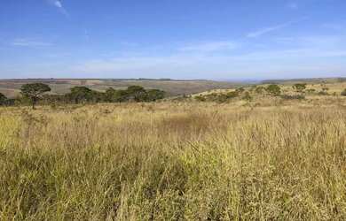 Imagem 11: Fazenda à venda, 969200 m² por R$ 6.000.000 - Serra Do Salitre - Serra...
