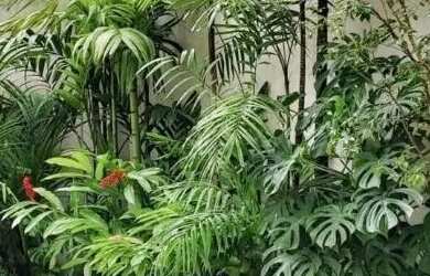 Imagem 16: Linda Casa 4/4, 3 suítes, Triplex 213m2, vaga 3 carros, 300m praia Flamengo...