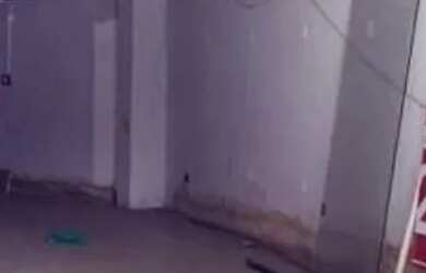 Imagem: O depósito possui 300m² de Área e está localizado em Calçada