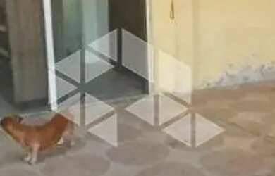 Imagem: A casa possui 2 Dormitórios, 1 Banheiro, 180m² de Área e