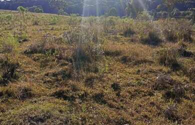 Imagem 3: Chácara em mato queimado 2 km da estrada do Cazuza ferreira