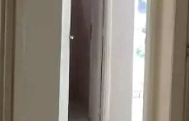 Imagem 11: Conjunto Comercial com 3 Salas 1 Vaga em Higienópolis