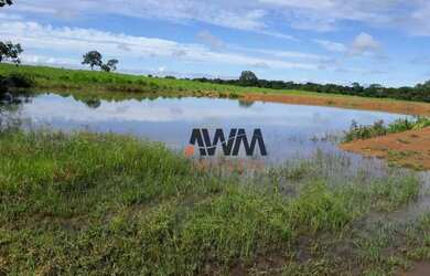 Imagem 4: Fazenda à venda, 501 alqueires por R$ 90.180.000 - Centro - Porangatu/GO