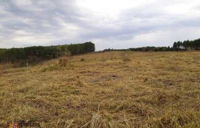 Imagem 7: Sitio a venda em Fernão/SP 12 Hectares para Pastagem, Feno ou Café por...