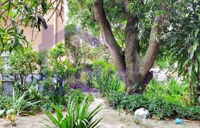 Imagem 7: Terreno para venda com 1600 metros quadrados em Bonsucesso