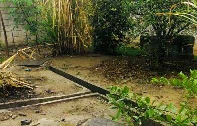 Imagem 7: Galpão em Betim, Oportunidade