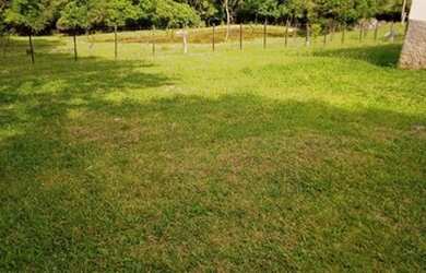 Imagem 15: R- 422 Vendo linda propriedade na Colônia Maciel em Pelotas