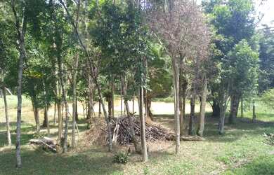 Imagem 7: Chácara em Juquitiba a venda