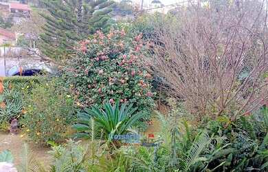 Imagem 10: Vendo Casa no Tingui. Churrasqueira, Varanda, Área de serviçoe194m²...