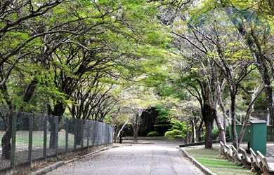 Imagem 6: Casa com 4 dormitórios, 447 m² - venda por R$ 4.199.000,00 ou aluguel...