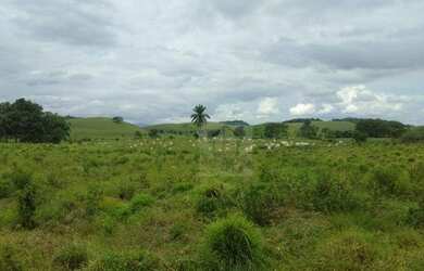 Imagem 13: Fazenda à venda, 900000 m² por R$ 4.000.000,00 - Parada Modelo - Guapimirim/RJ