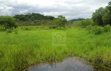 Imagem 7: Fazenda à venda, 900000 m² por R$ 4.000.000,00 - Parada Modelo - Guapimirim/RJ