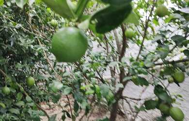 Imagem 9: Casa linda e nova em Imbituba