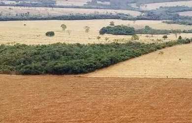 Imagem: A fazenda possui Imóvel novo e está localizado em Centro