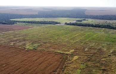 Imagem 4: Fazenda 1200ha - 900ha aberto