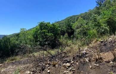 Imagem 7: Sitio - Bairro Linha Ávila