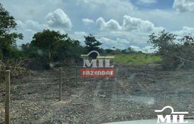 Imagem 13: Fazenda 90 Alqueires 440 Hectares Caiaponia - GO