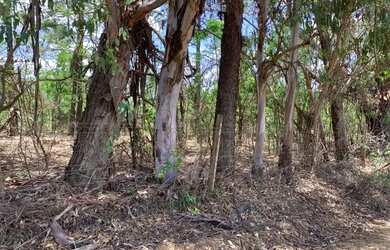 Imagem: A chácara está localizado em Jaboticatubas, MG à venda por