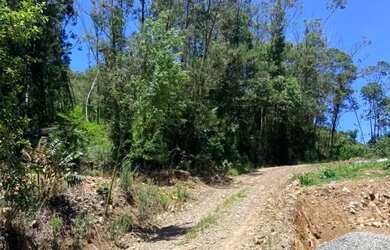 Imagem 3: Sitio - Bairro Linha Ávila