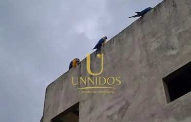 Imagem 11: Casa Novo Horizonte em Alto Paraíso GO - R$ 380.000 reais