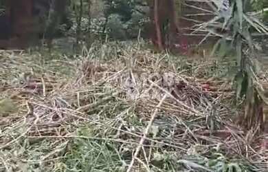 Imagem 3: Lote à Venda no Lago Norte, Brasília 800m² por R$750mil