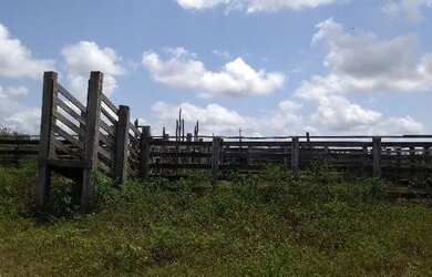 Imagem 5: 62 alqueires no Pará a ,zap R$ 2.500.000,00