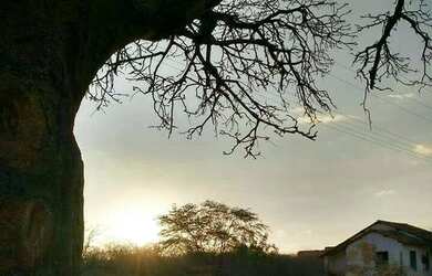 Imagem: A fazenda possui 1050000m² de Área Privada e está localizado