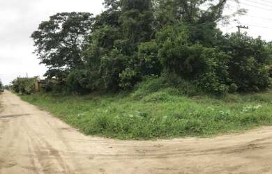 Imagem 1: BALNEÁRIO BARRA DO SUL - Terreno Padrão - COSTEIRA