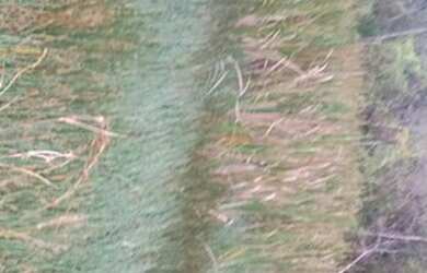 Imagem 12: Rancho pescarias em frente ao poção 120 mil reais