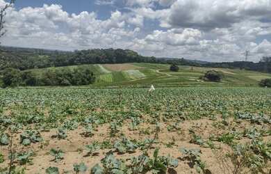 Imagem 14: Lote/Terreno para venda com 1000 metros quadrados em Jardim Lavapes das...