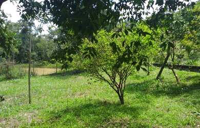 Imagem 10: Chácara em Juquitiba a venda