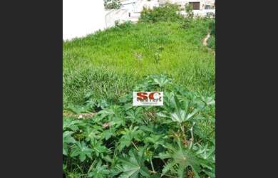 Imagem 4: Terreno à venda, 300 m² por R$ 150.000 - Jardim São Judas Tadeu - Campinas/SP